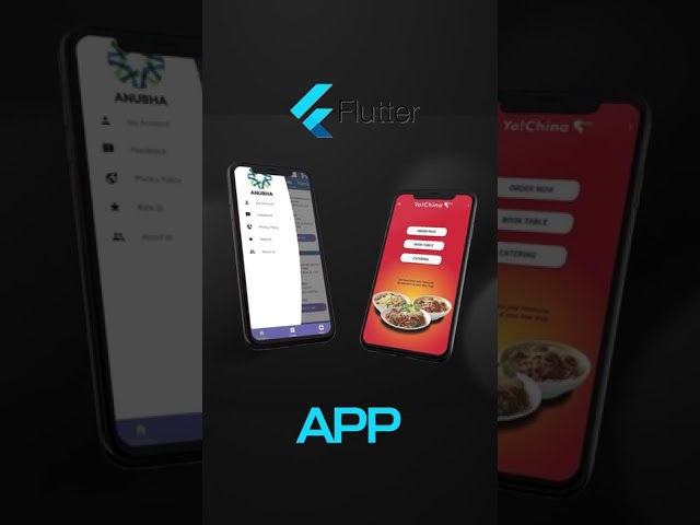Web Development Service | App Development by NS Ventures