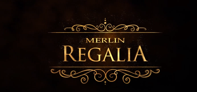 Testimonial Videos Merlin Group