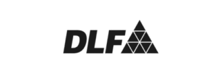 DLF NS Ventures