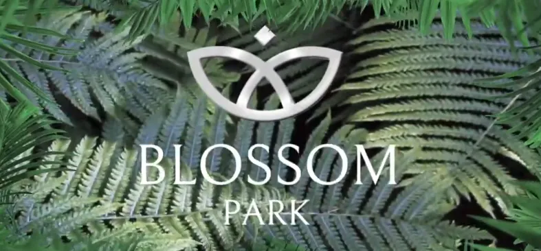 TDI Project Connectivity Videos