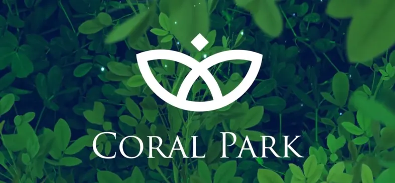 TDI Project Connectivity Videos